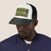 Alligator Power in Florida Trucker Pet (In situ)