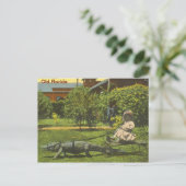 ALLIGATOR POWER, Old Florida Briefkaart (Staand voorkant)