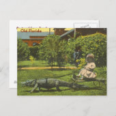 ALLIGATOR POWER, Old Florida Briefkaart (Voorkant / Achterkant)
