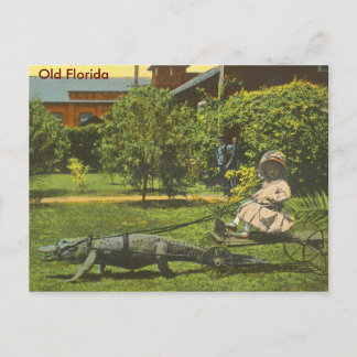 ALLIGATOR POWER, Old Florida Briefkaart
