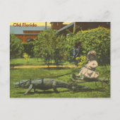 ALLIGATOR POWER, Old Florida Briefkaart (Voorkant)