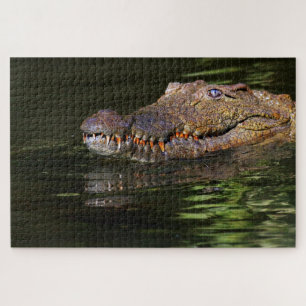 Alligator Puzzle Legpuzzel