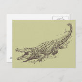 Alligator Realistische illustratie Briefkaart (Voorkant / Achterkant)
