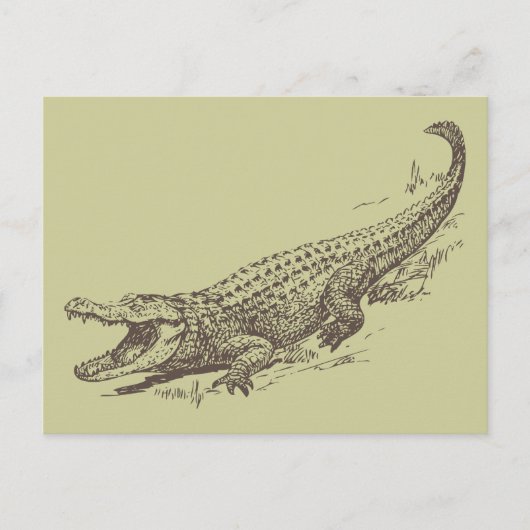 Alligator Realistische illustratie Briefkaart (Voorkant)