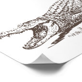 Alligator Realistische illustratie Poster (Hoek)