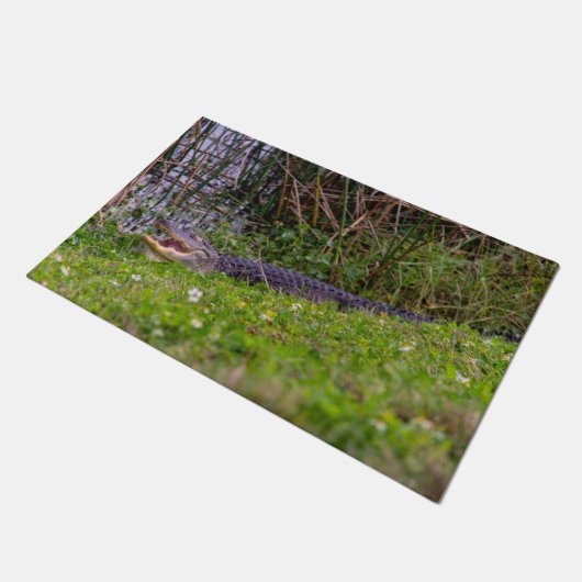 Alligator Relaxing in Viera Wetlands Deurmat (Schuin)