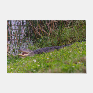 Alligator Relaxing in Viera Wetlands Deurmat
