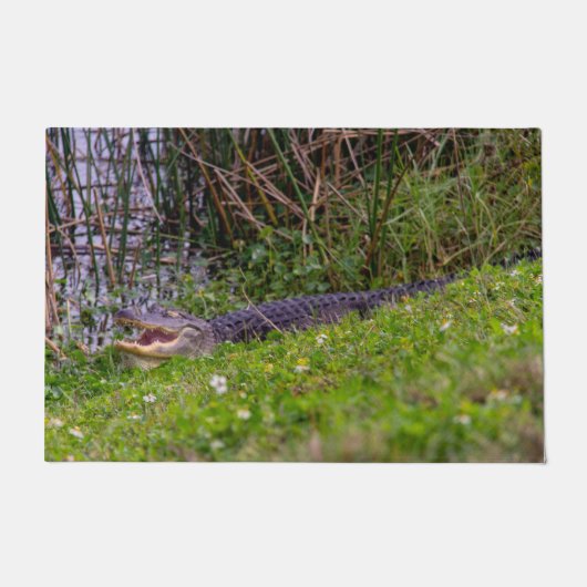 Alligator Relaxing in Viera Wetlands Deurmat (Voorkant)