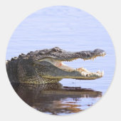 Alligator Ronde Sticker (Voorkant)