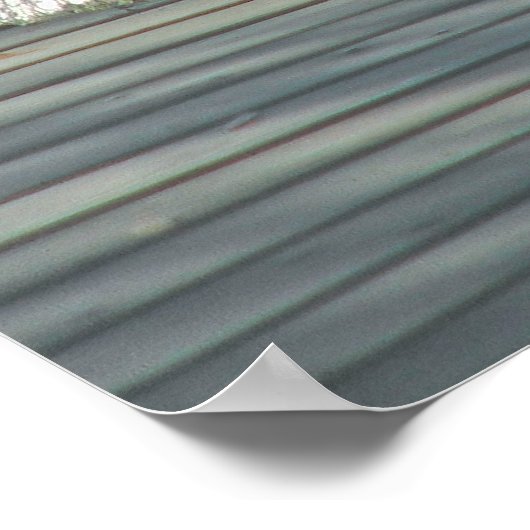 Alligator Scripture Poster (Hoek)