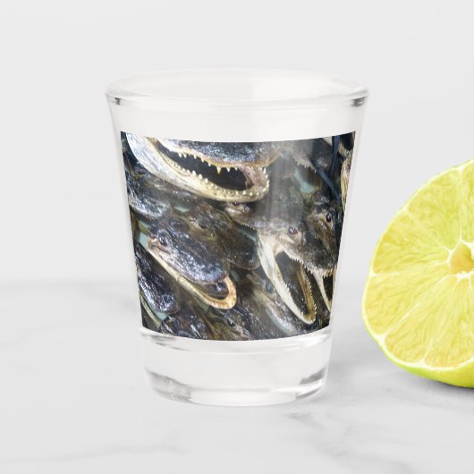 Alligator Shotglas Shot Glas (Voorkant)