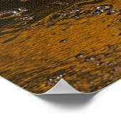 Alligator Sky Poster (Hoek)