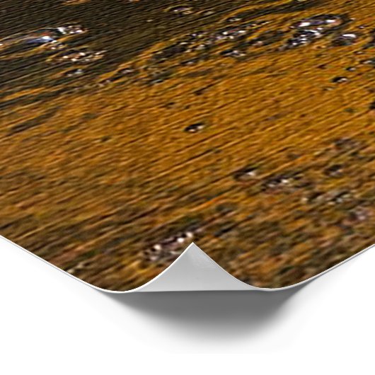 Alligator Sky Poster (Hoek)