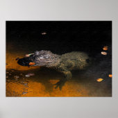 Alligator Sky Poster (Voorkant)