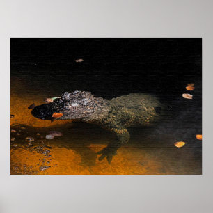 Alligator Sky Poster