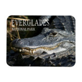 Alligator Smile, Everglades National Park, Florida Magneet (Horizontaal)