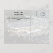 Alligator Smiles from Marsh, Everglades NP Briefkaart (Achterkant)