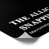 Alligator Snapping Turtleのポスター Poster (Hoek)