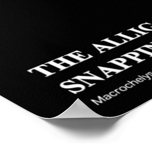 Alligator Snapping Turtleのポスター Poster (Hoek)