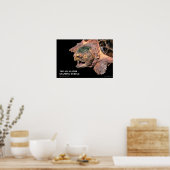 Alligator Snapping Turtleのポスター Poster (Keuken)