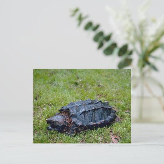 Alligator Snapping Turtle Briefkaart (Staand voorkant)