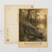 Alligator Southern Wetlands VINTAGE Briefkaart (Voorkant / Achterkant)
