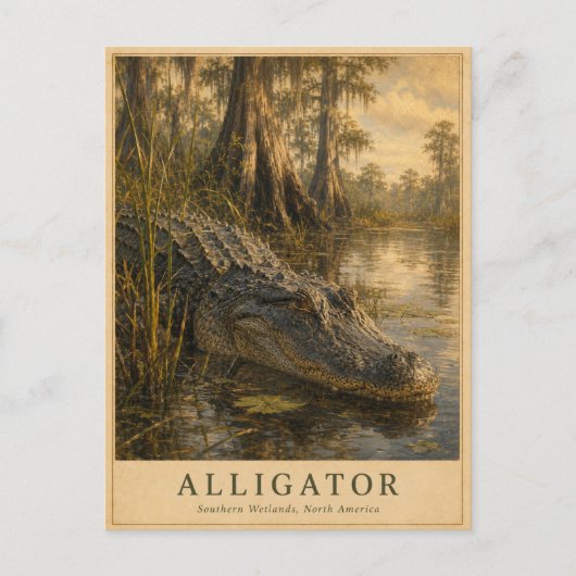 Alligator Southern Wetlands VINTAGE Briefkaart (Voorkant)