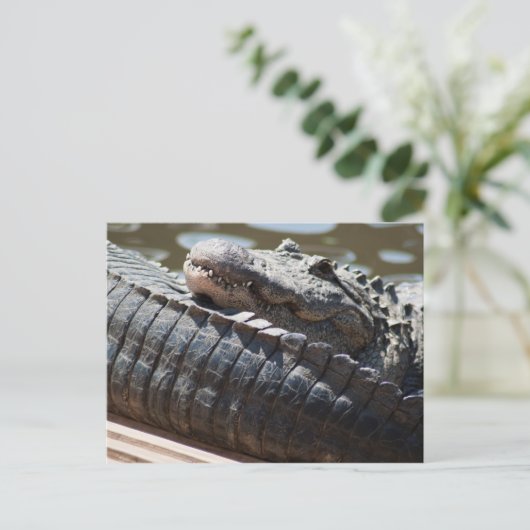 Alligator testen briefkaart (Staand voorkant)