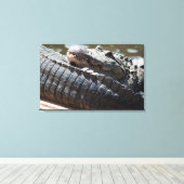 Alligator testen canvas afdruk (Insitu (Houten vloer))