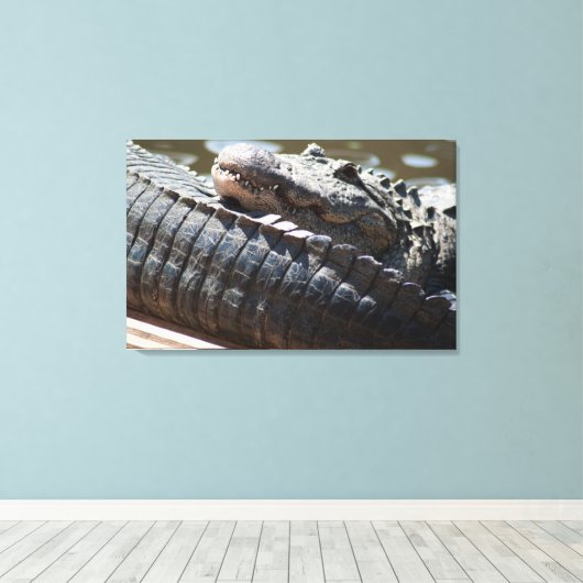 Alligator testen canvas afdruk (Insitu (Houten vloer))