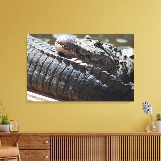 Alligator testen canvas afdruk (Insitu (Woonkamer))