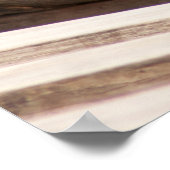 Alligator testen poster (Hoek)