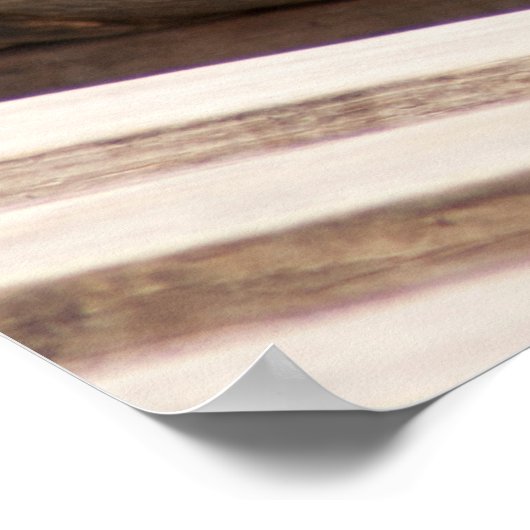 Alligator testen poster (Hoek)