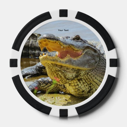 Alligator. Van aangezicht tot aangezicht Poker Chips (Voorkant)