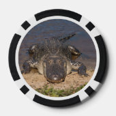 Alligator. Van aangezicht tot aangezicht Poker Chips (Achterkant)