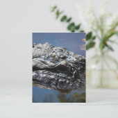 Alligator van North Carolina Briefkaart (Staand voorkant)