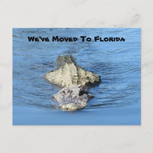 Alligator Verplaatst naar Florida - de Nieuwe Kaar Briefkaart (Voorkant)
