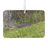 Alligator Viera Wetlands Florida Foto Luchtverfrisser (Achterkant)