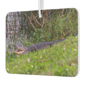 Alligator Viera Wetlands Florida Foto Luchtverfrisser (Links)