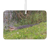 Alligator Viera Wetlands Florida Foto Luchtverfrisser (Voorkant)