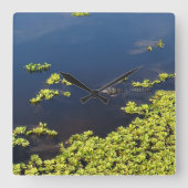 ALLIGATOR VIERKANTE KLOK (Voorkant)