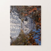 Alligator - Voorzichtig! Legpuzzel (Verticaal)