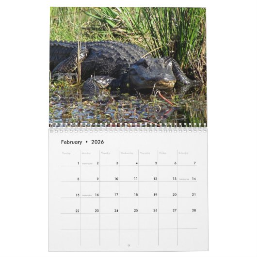 Alligator Wall Agenda Kalender (Feb 2026)