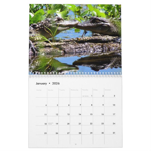Alligator Wall Agenda Kalender (Jan 2026)