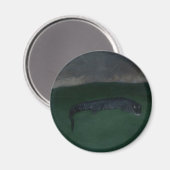 Alligator ~ Wat zit er in de Donker? Magneet (Voorkant / Achterkant)