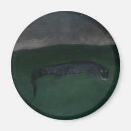 Alligator ~ Wat zit er in de Donker? Magneet