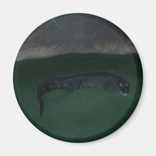 Alligator ~ Wat zit er in de Donker? Magneet (Voorkant)