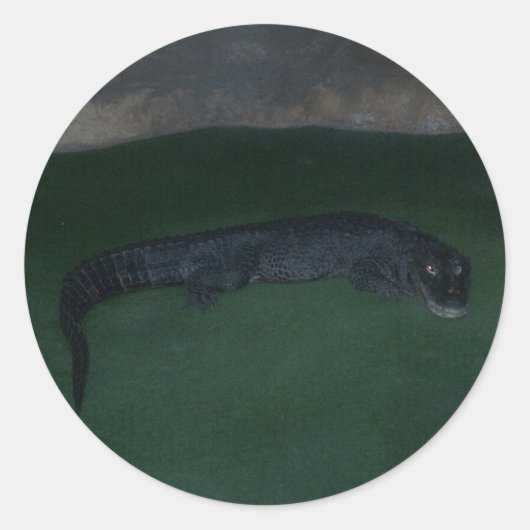 Alligator ~ Wat zit er in de Donker? Ronde Sticker (Voorkant)