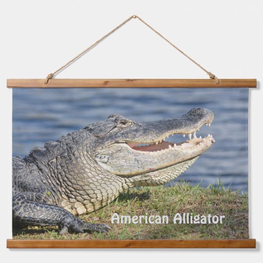 Alligator Wildlife Natuur Closeup Fotografisch Hangend Wandkleed (Voorkant)