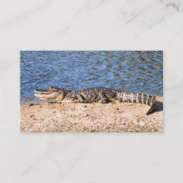 Alligator zonnopend in het meer visitekaartje